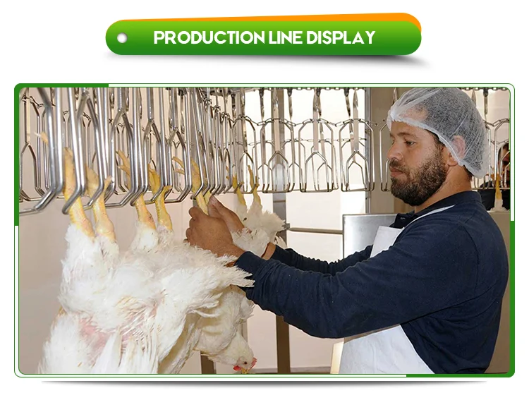 Best price stainless steel complete 1000 bph poultry slaughtering equipment