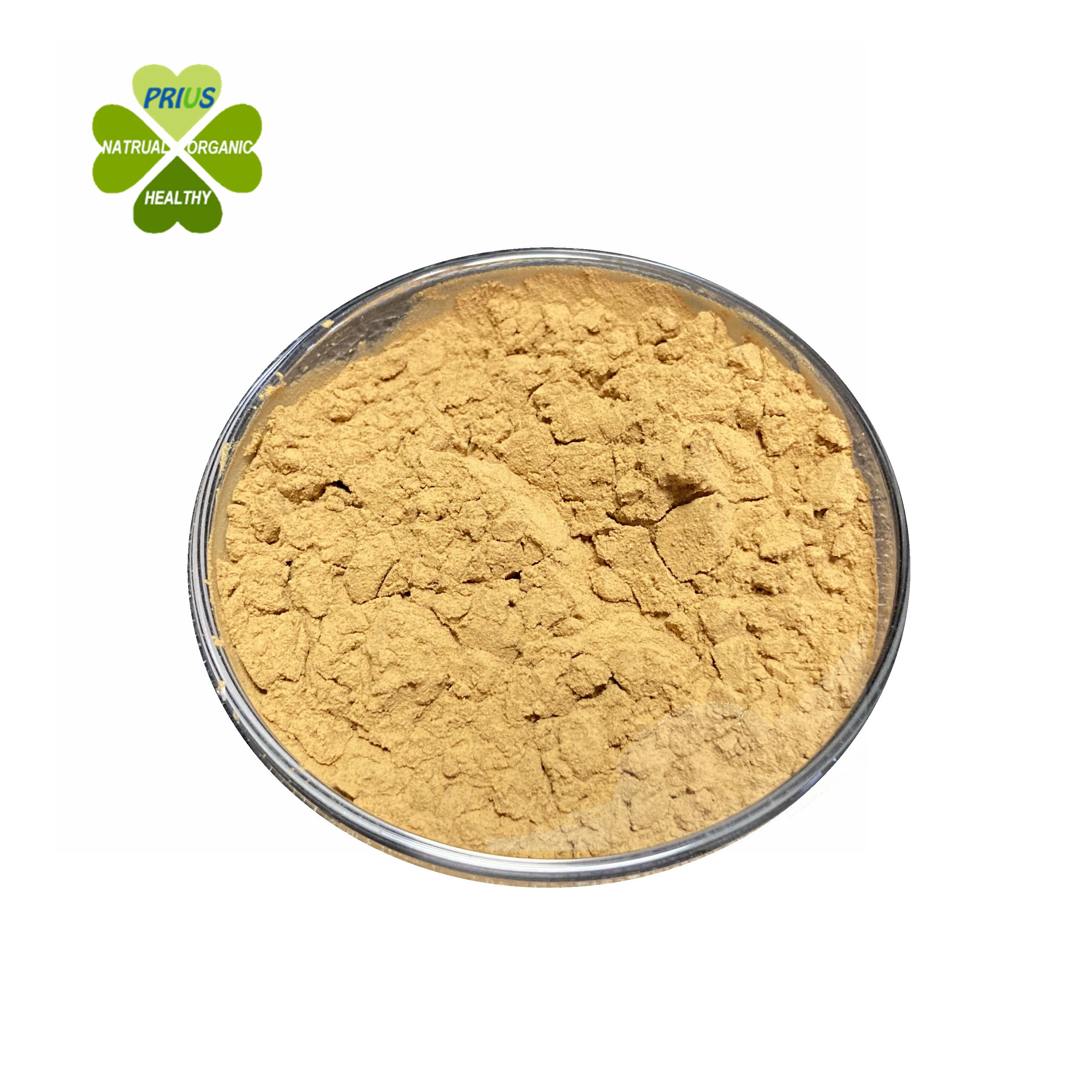Olive leaf extract oleuropein 20% 40% 60% Oleuropein powder 32619-42-4
