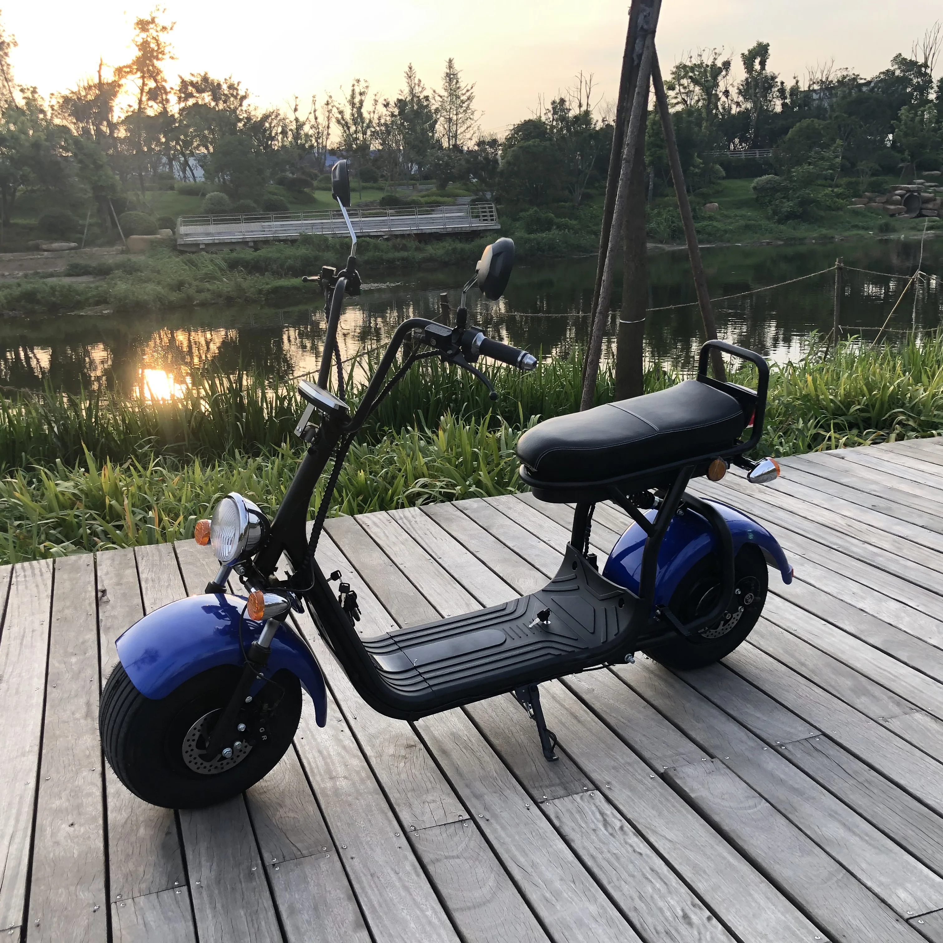 citycoco scooter _5.JPG