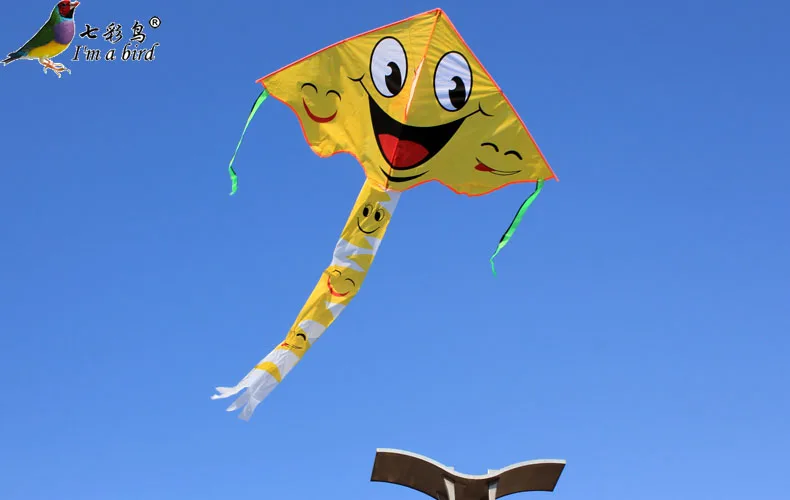 New outdoor penguin ladybug delta Kite for sale