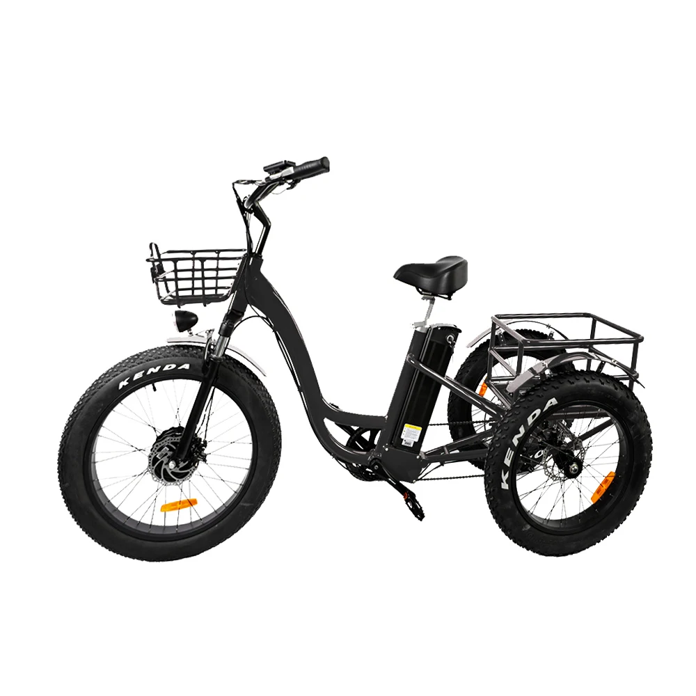 Ristar 2022 48V500W 700 Вт Электрический пассажирский трицикл для туда и обратно