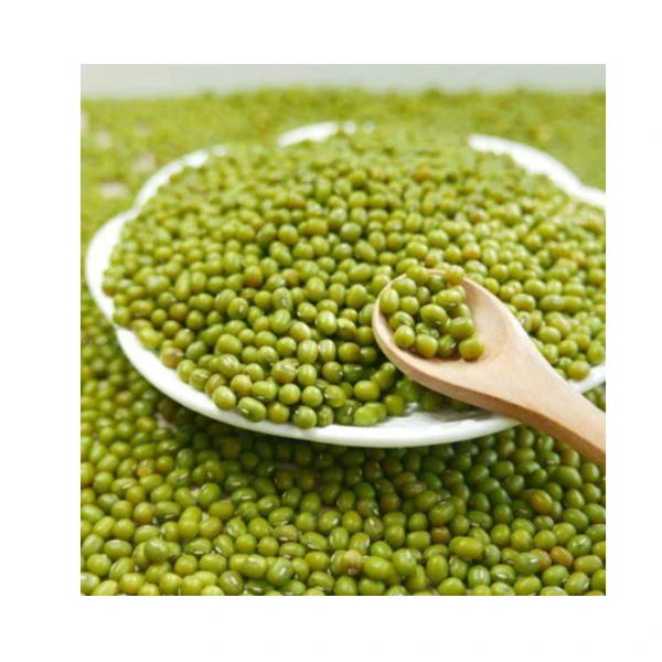 Direct Exporter Bulk Raw Dried Green Mung Beans Ready To Export