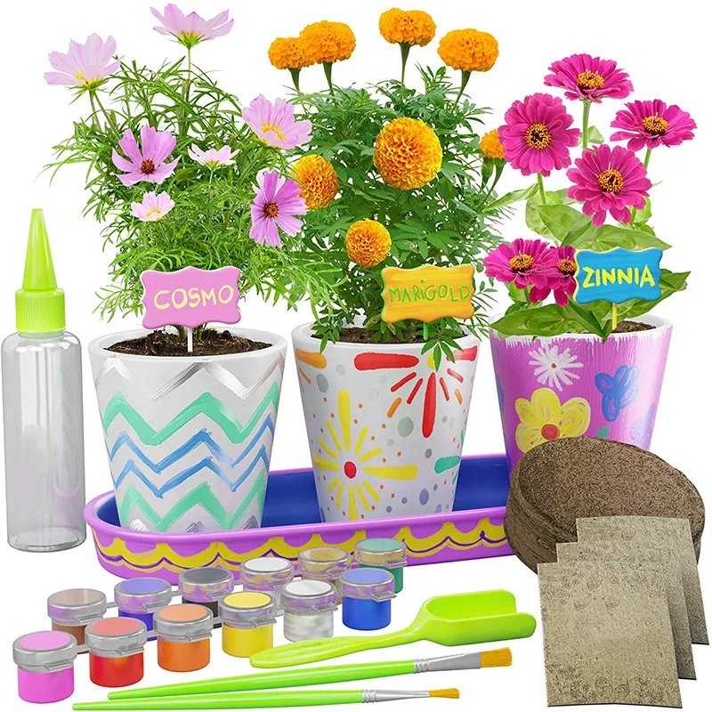 Indoor Paint Plant Stoneware Flower Gardening Kit As Birthday Gifts For Girls  Boys