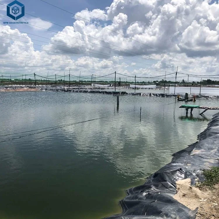 HDPE Geomembrane Impermeable Pond Pool Liner Waterproof PE Black Plastic Pond Liner Sheet Construction Roll