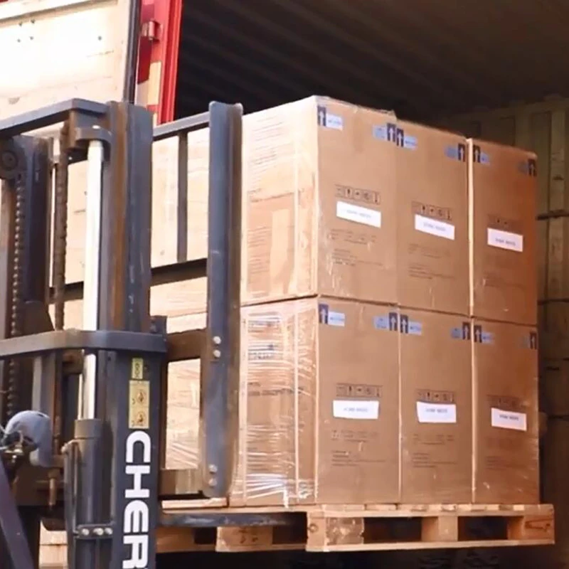 Veterinary Oxygen For Animal Cost-effective 5l Oxygen Concentrator For Pet