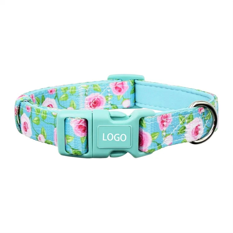 
webbing Factory oem free sample neoprene printed webbing pet collar dog collar with branded detachable buckles 2021 // 