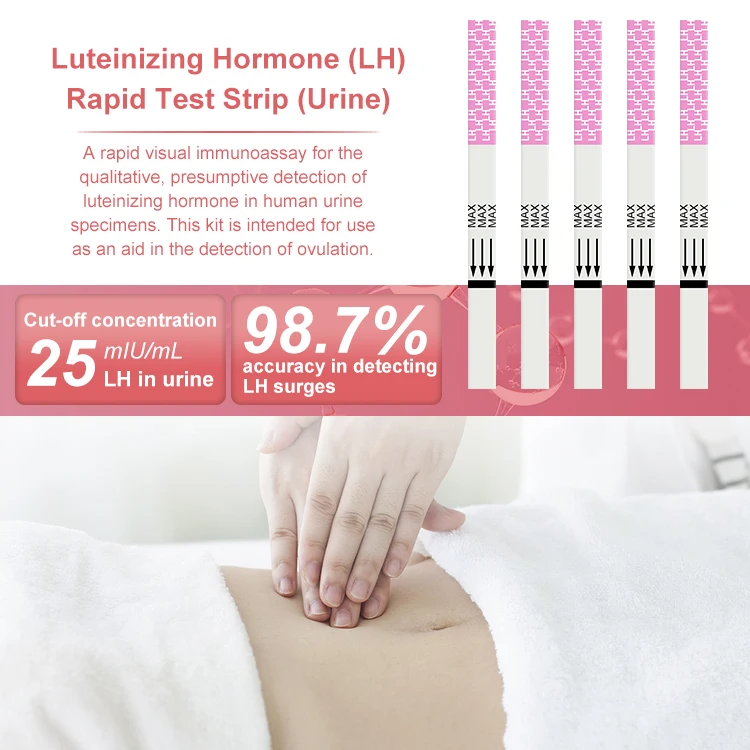 Pregnancy Test Kit Ovulation Test Strip HCG Test Strips