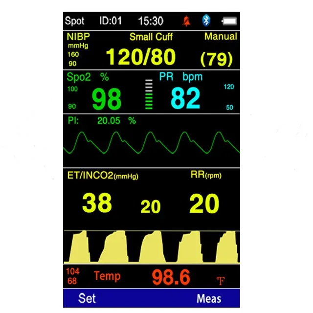 VT300H ветеринарный 4-дюймовый портативный каптограф/Насыщенность spo2/nibp/температура