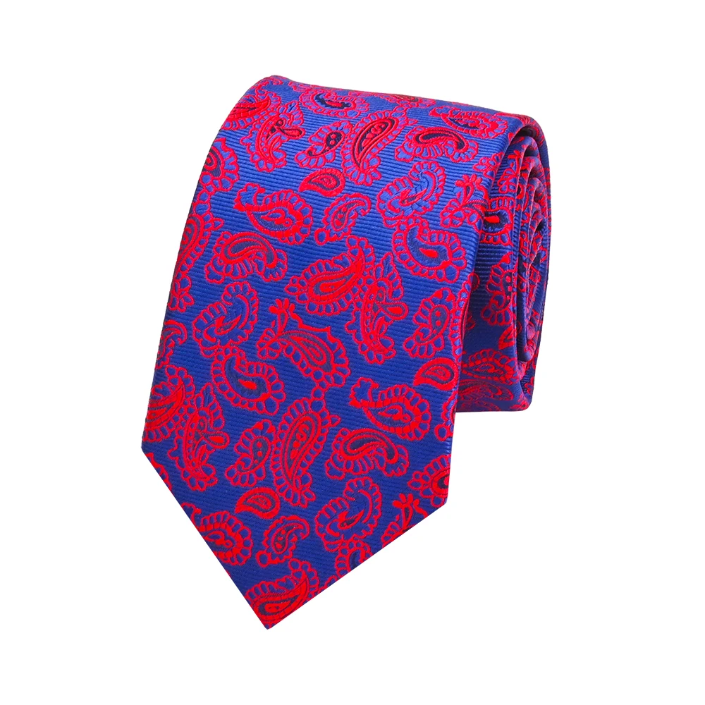 YiLi Jacquard Handsome Microfiber Polyester Woven Paisley Import Tie