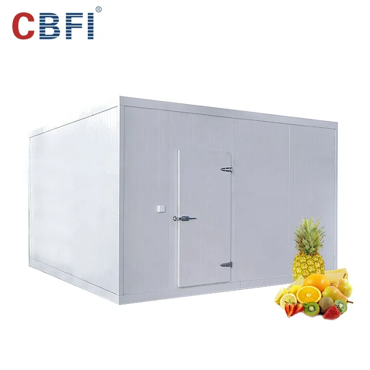 High Quality Ammonia Cold Room Storage For Chicken Meat Fish Fruit New Type Ammonia Cold Storage For Fruits And Vegetables