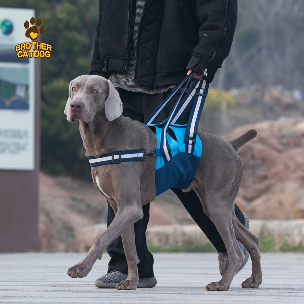Pets accessories  Injured dog support harness belt  soft padded large dog Rehabilitation belt  custom design disable dog harness