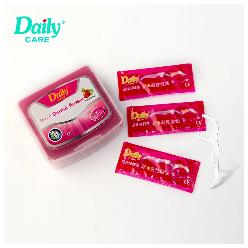 Single Pack Daily Care Mint Flavored Tooth Floss Sticks Floss Picks Stainless Steel Oral Care Teeth Cleaning Dental Boxed