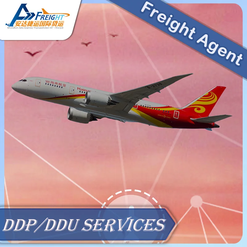 Door To Door Service For Germany By Sea By Air DDP service