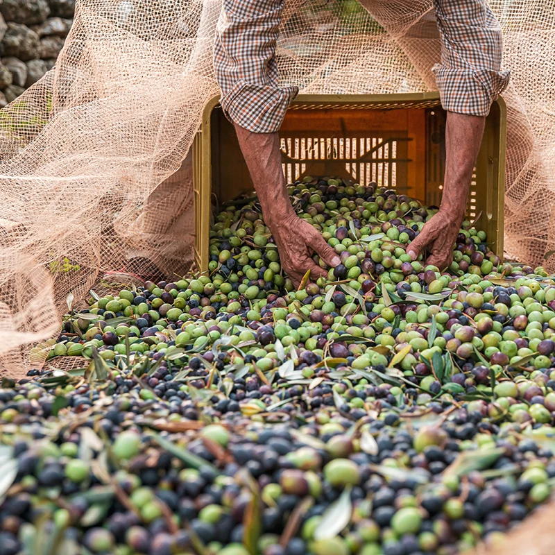 Top quality Dressing based on extra virgin olive oil with lemon, product of Italy, 250 ml, 12 pcs x box finest rank