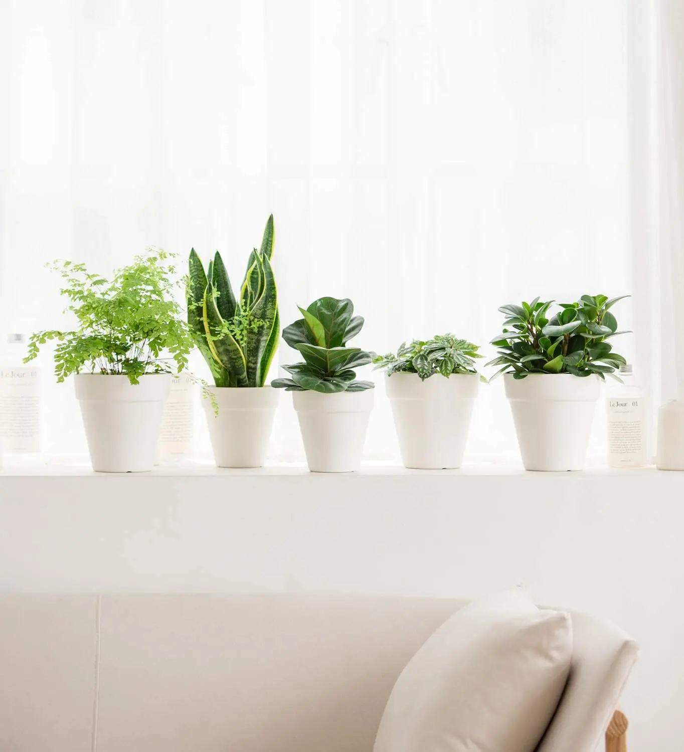 wholesale bulk Custom planters cheap stackable flower pots white eco friendly bamboo fiber garden flower pots