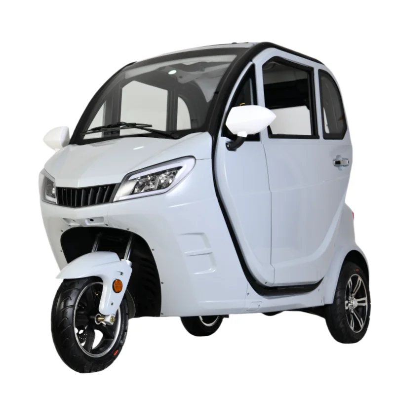 48v 800w Electric Tricycle For Adults Manned Electric Tricycles With Open Body 3-wheel Electric Vehicle