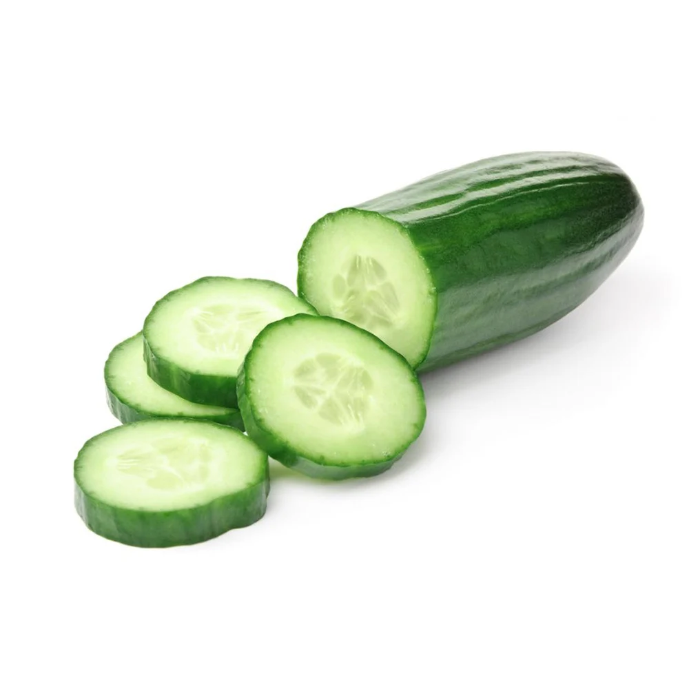 
High quality fresh cucumber 