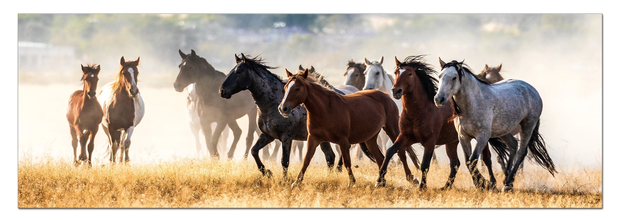 Abstract Horse - Motif Acrylic Art Panel eight horses painting for living room paintings for office paintings