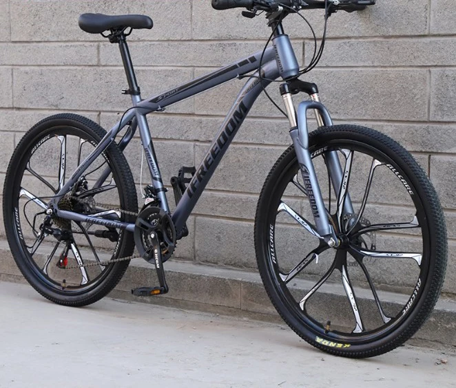 Sample Available 26 Inch 21 Speed Mountain Bike Steel Frame Bicycle manufacturers Disc Brake Moutainbikes