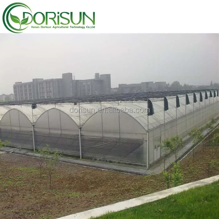 Многопролетная АРКА, пластиковая пленка, теплица для сельского хозяйства