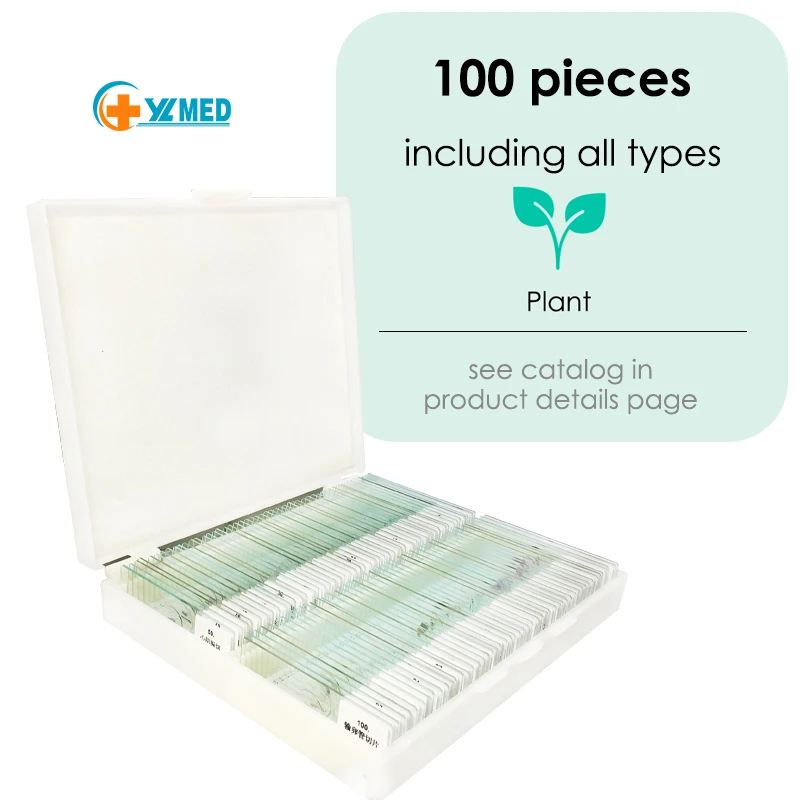 Education Medical Science Natural Botany Leaf Microscope Prepared Slides Set for Teaching and Learning