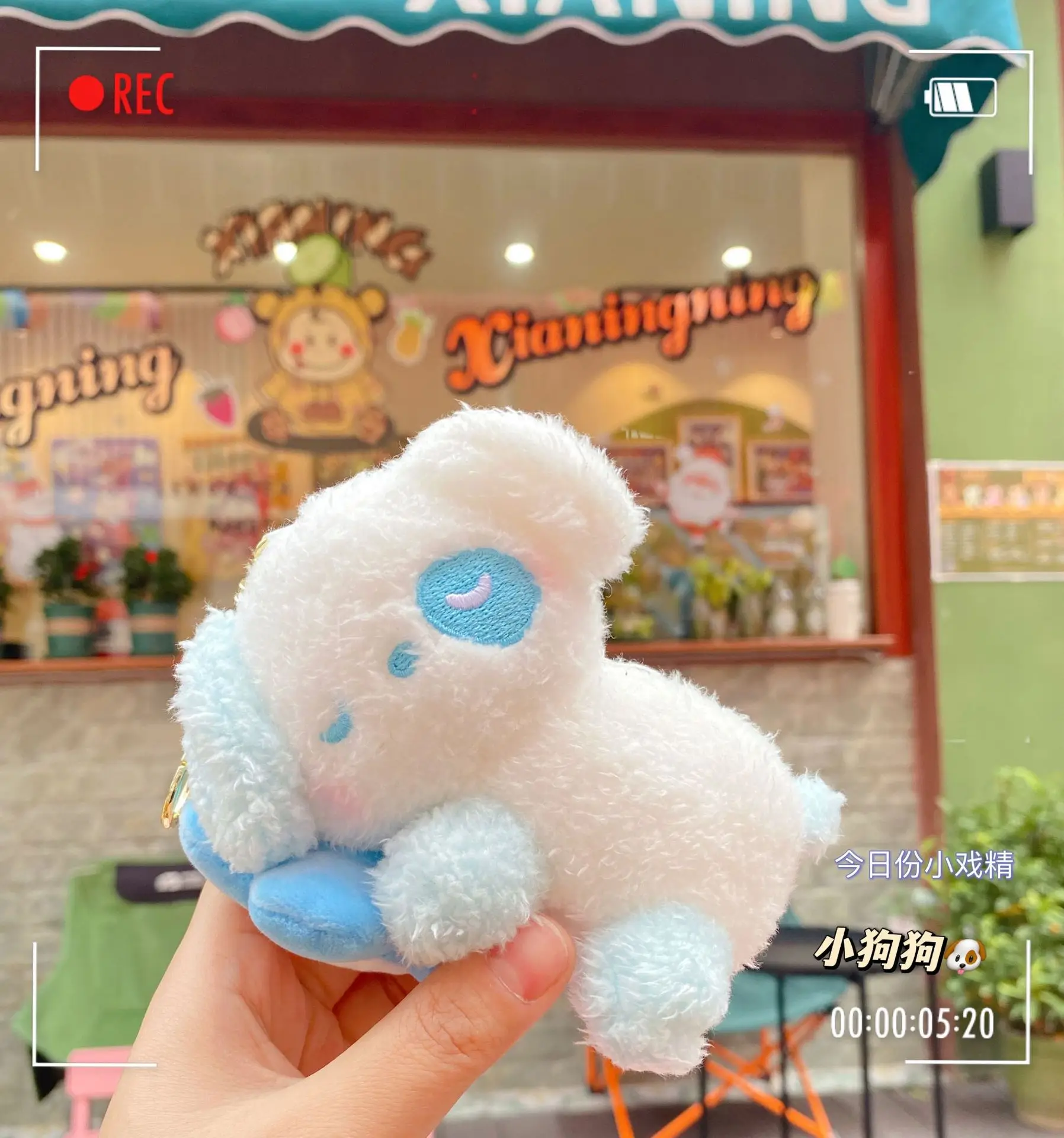 2023 Fashion Plush Toy Animals Rabbit Bear Cat Koala Mini Stuffed Toy For Girls