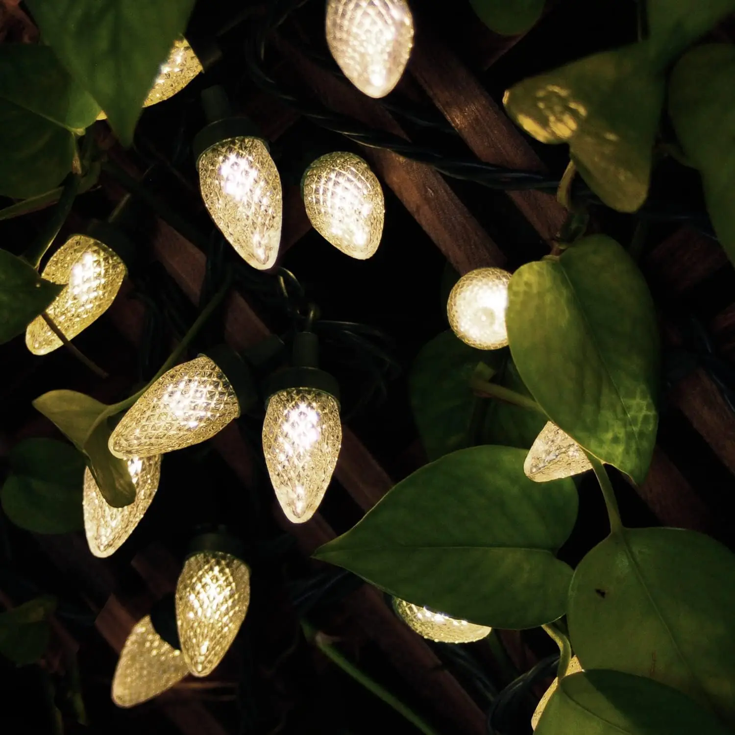 UL  C7 LED Warm White Faceted Christmas Mini Light Christmas tree lights