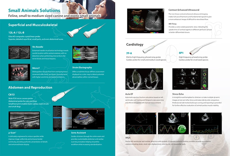 Sonoscape ProPet 70 wholesale price vet ultrasound machine 3D 4D color doppler Digital ultrasound scanner for veterinary