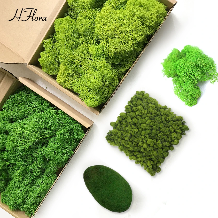 Hflora сохраненный мох Amazon Top экологически чистый оптовый стабилизированный для украшения