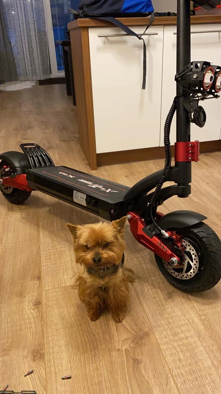 [in Stock] 2400w Electric Motorcycle Electric Scooters Fast Road Fast Delivery Max Speed Kick Scooters Foot Scooters