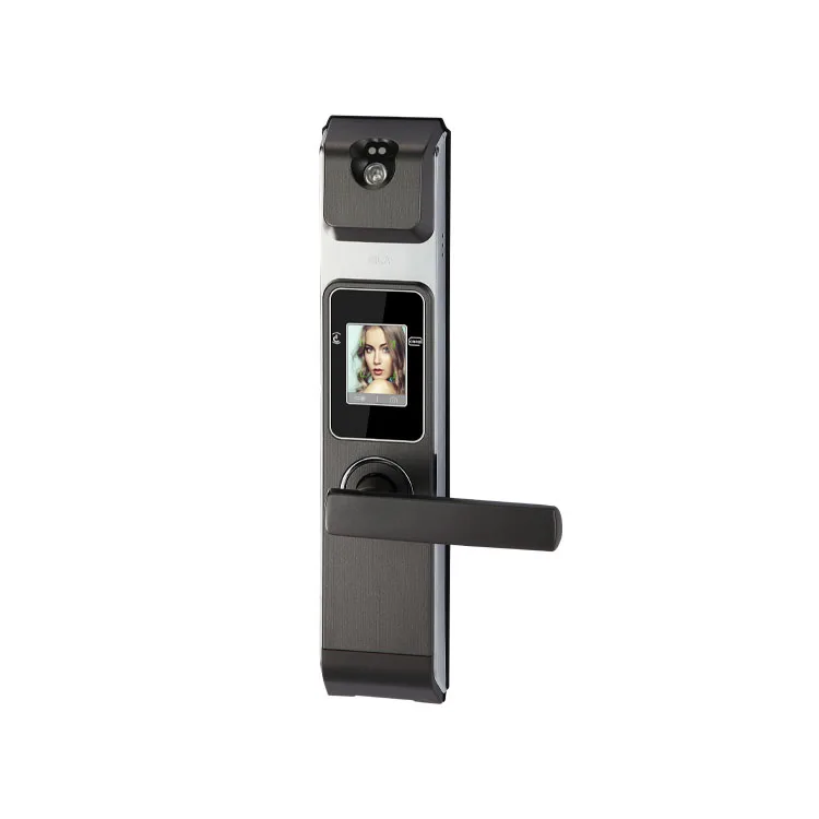 
Smart Security with WiFi smart for home Key RF Card Face Recognition Door Lock 