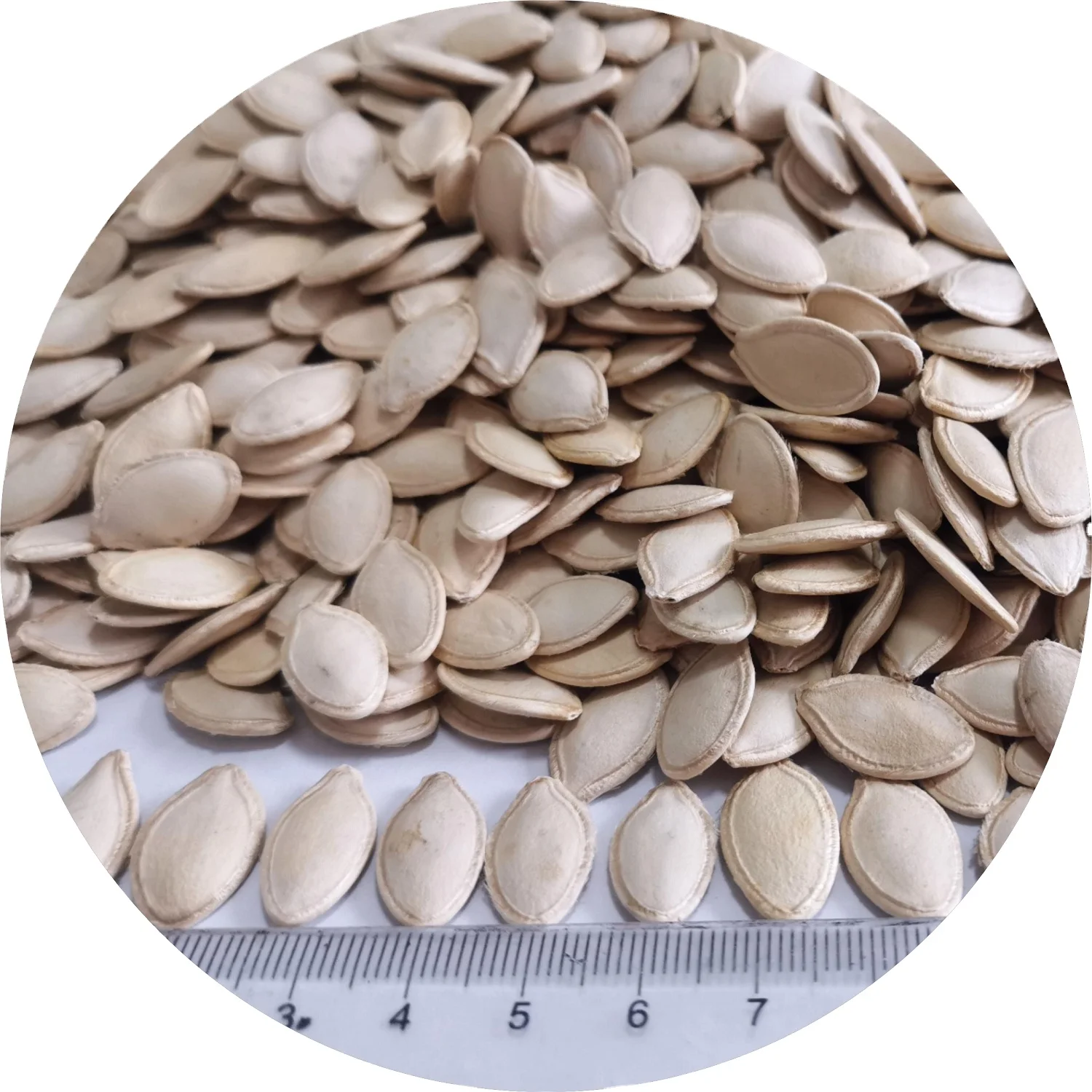 shine skin pumpkin seeds