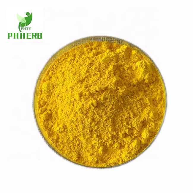 Factory price health product supplement coptis rhizome root extract powder