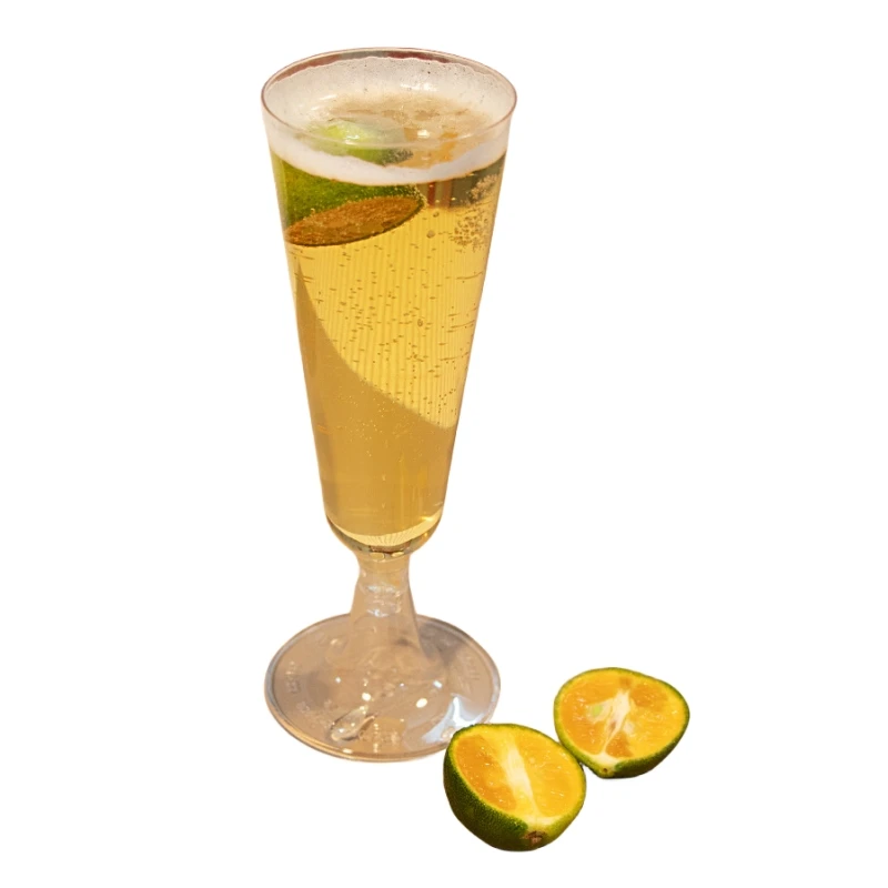 5oz Clear Plastic Champagne Flutes Toasting and Mimosa Plastic Champagne Cups