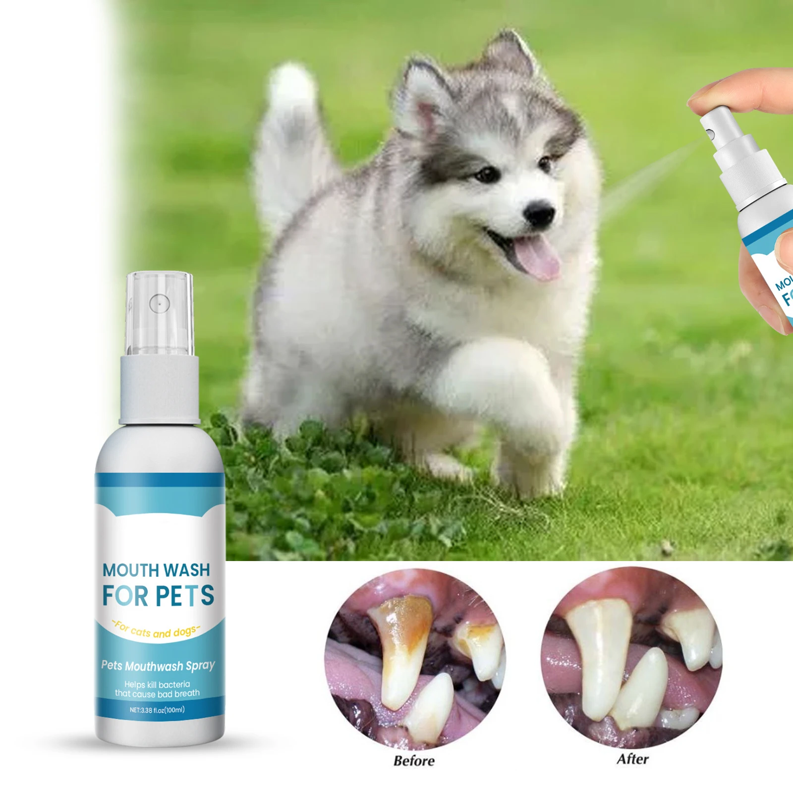 Multi-Purpose Oral Care Set for Dogs and Cats Odor Removing Fragrant Oral Care Spray Dental Health Care Product