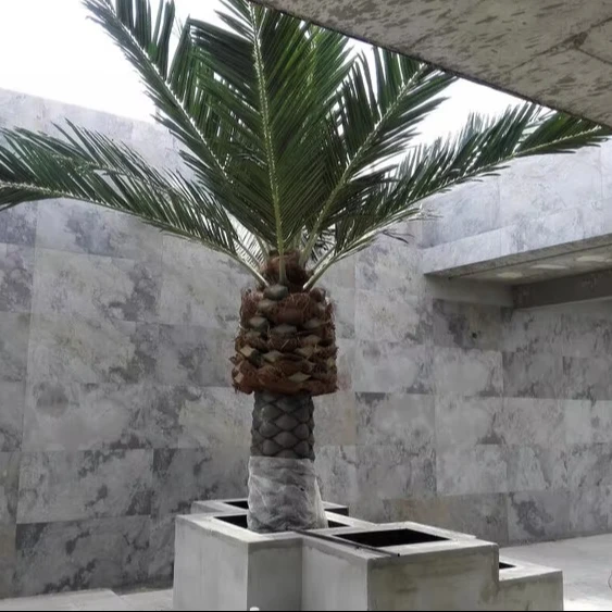 Белый шпон Sanjayani украсит ваши стены элегантной простыней из гибкого шпона, антикварный ламинированный по требованию