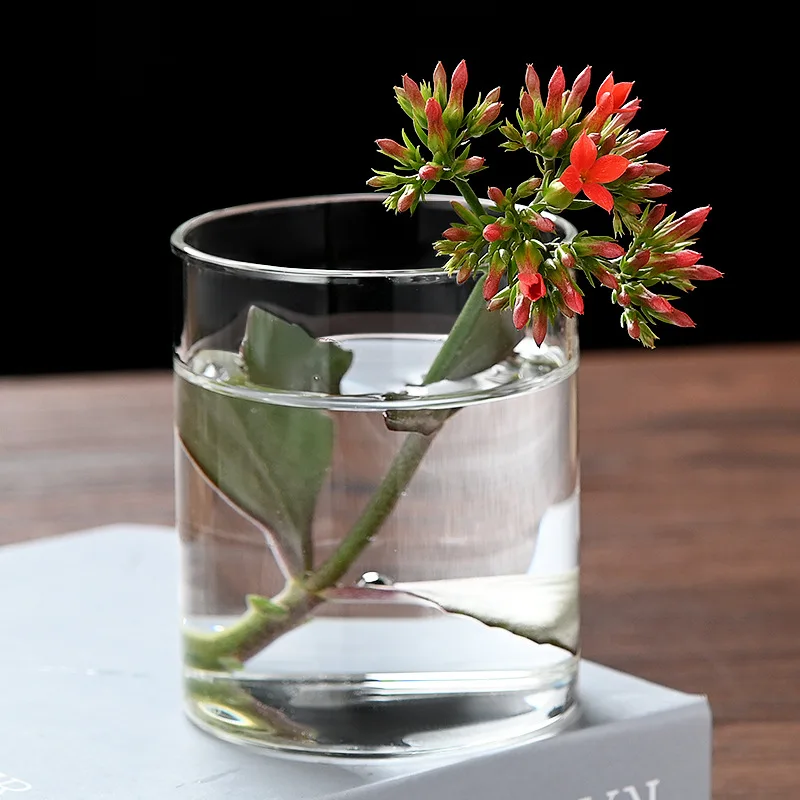 High Borosilicate straight glass vase rose fish tank flower arranging device hydroponic landscape flowerpot vase glass ornaments