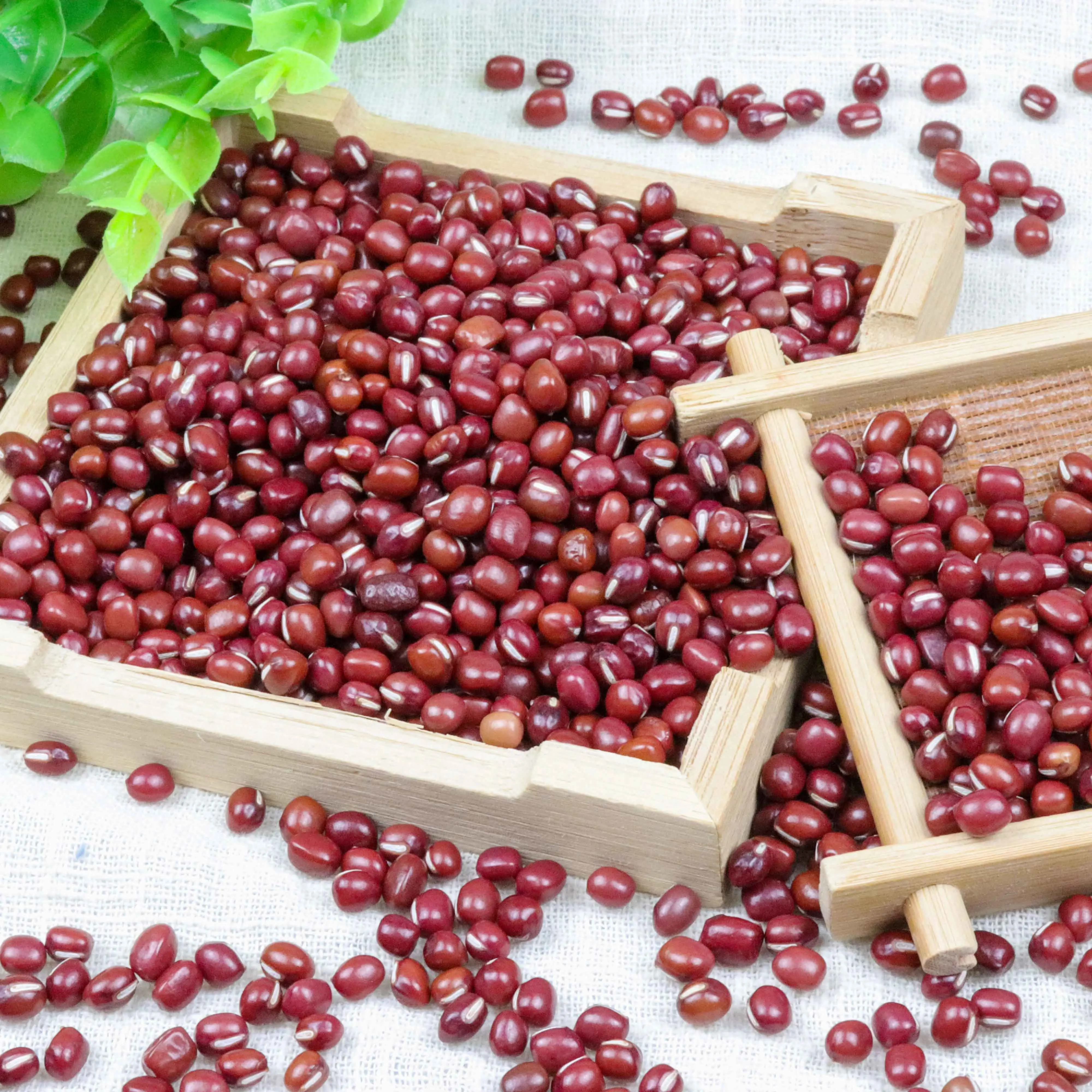 
2020 New Crop Organic Red Adzuki Beans Small Round Beans with Wholesale Price OEM packing 