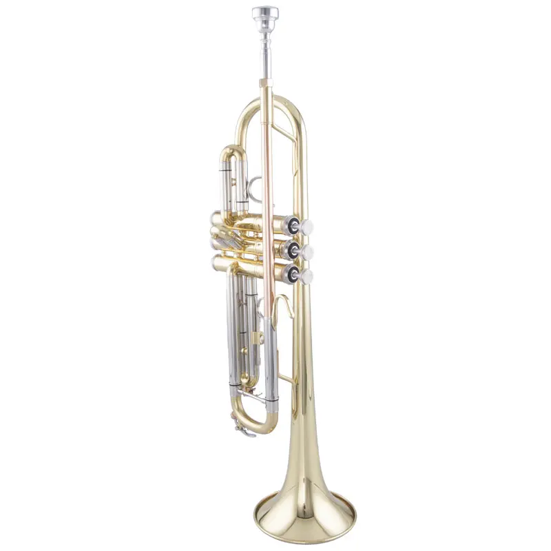Hot sell gold Lacquer Brass Bell BB professional performance level trumpet