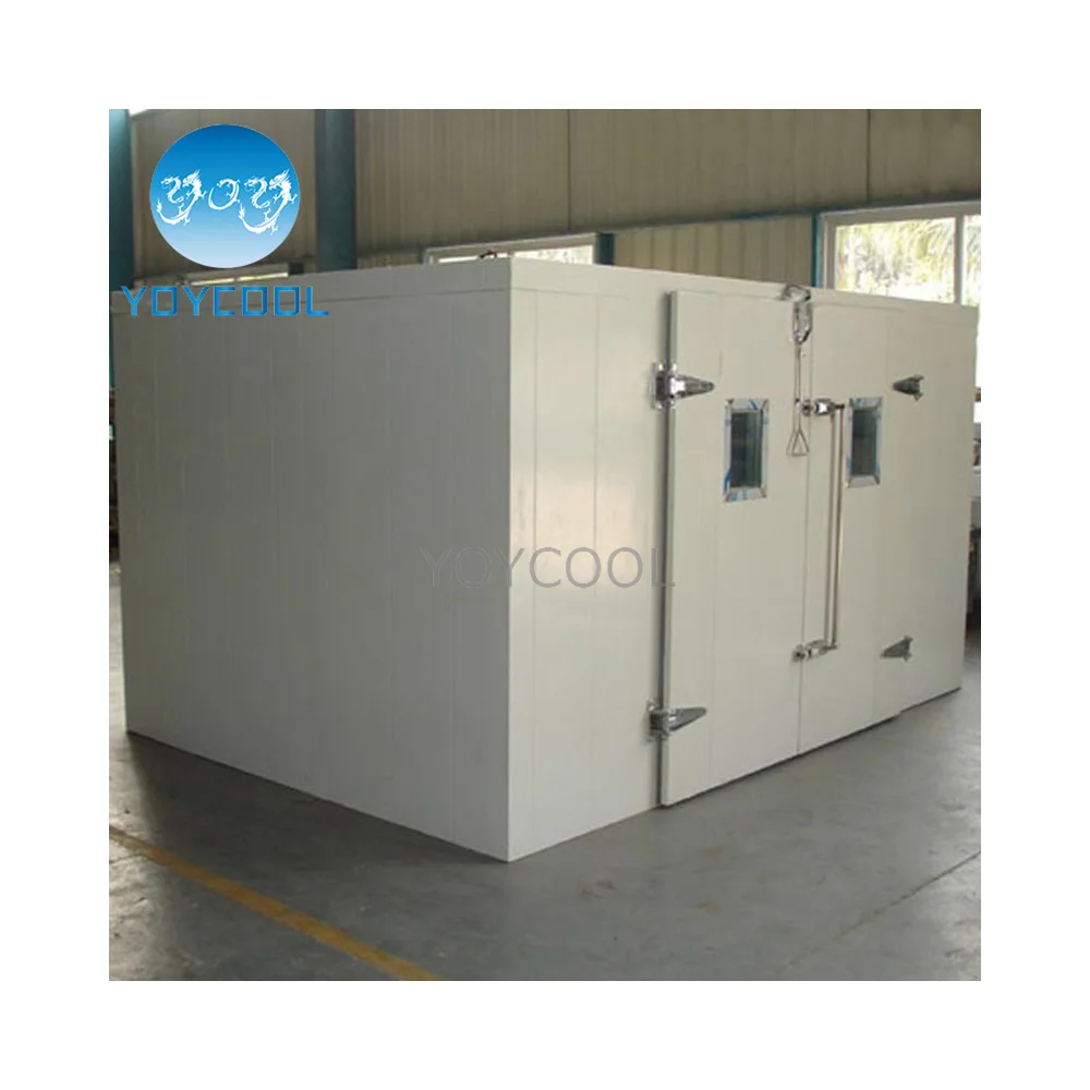 Industrial walk in freezer vegetable chiller cooler cold room