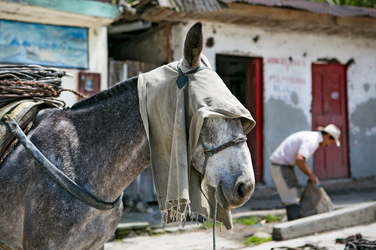 
(FREE SHIPPING) COLOMBIAN PREMIUM ROASTED COFFEE 