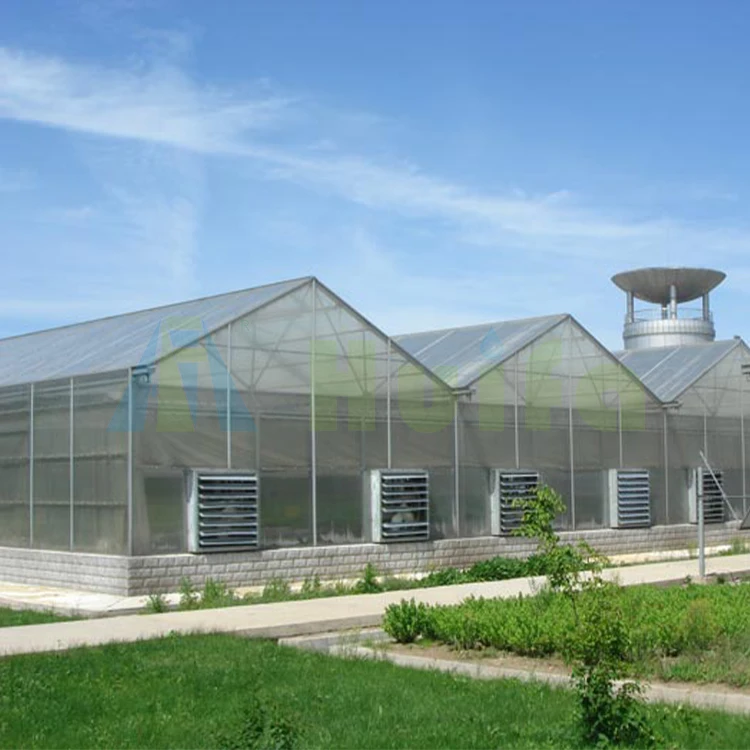 Most Favorable Price Black Out Green House Fully Automated Blackout Curtain Polycarbonate Light Dep Greenhouse In America