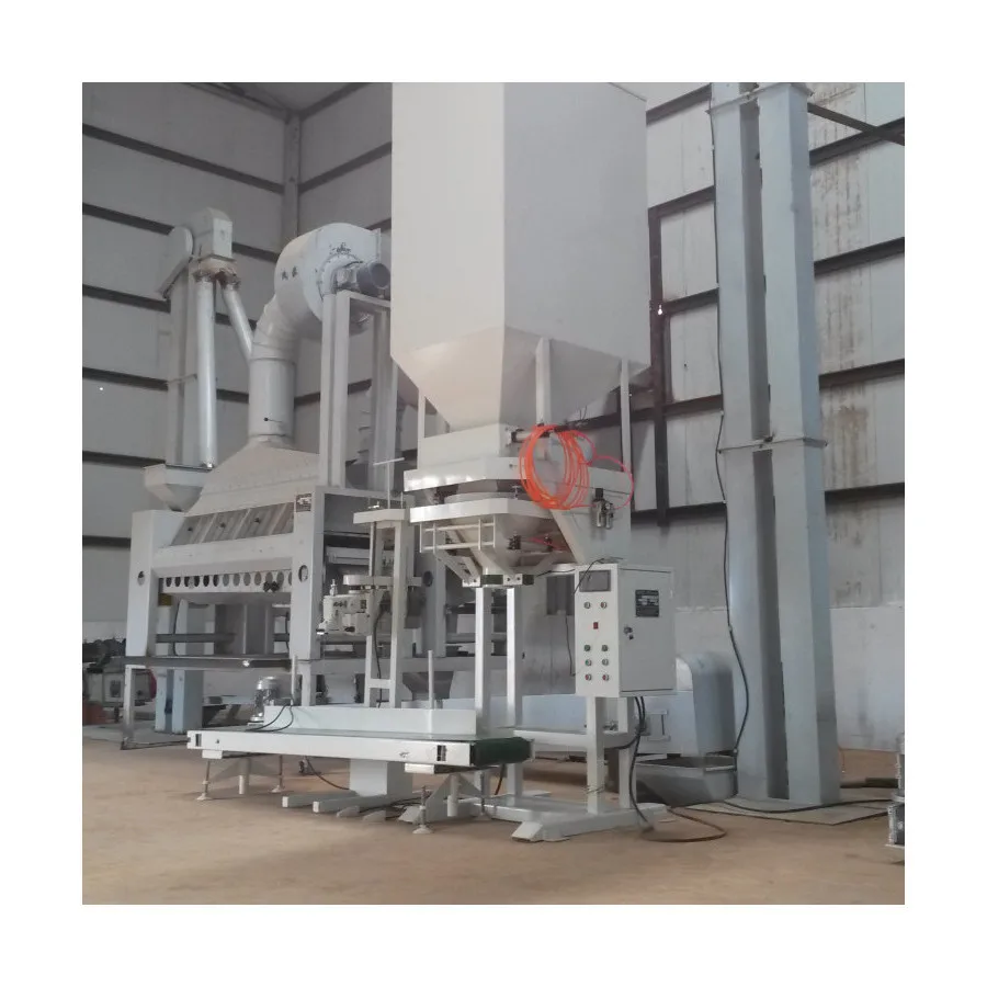 Bean Lentil Soybean Coffee Cocoa Peas Pulse Polishing Machine Agriculture Machinery Grain Seed Green Hot Product 2019 Customized