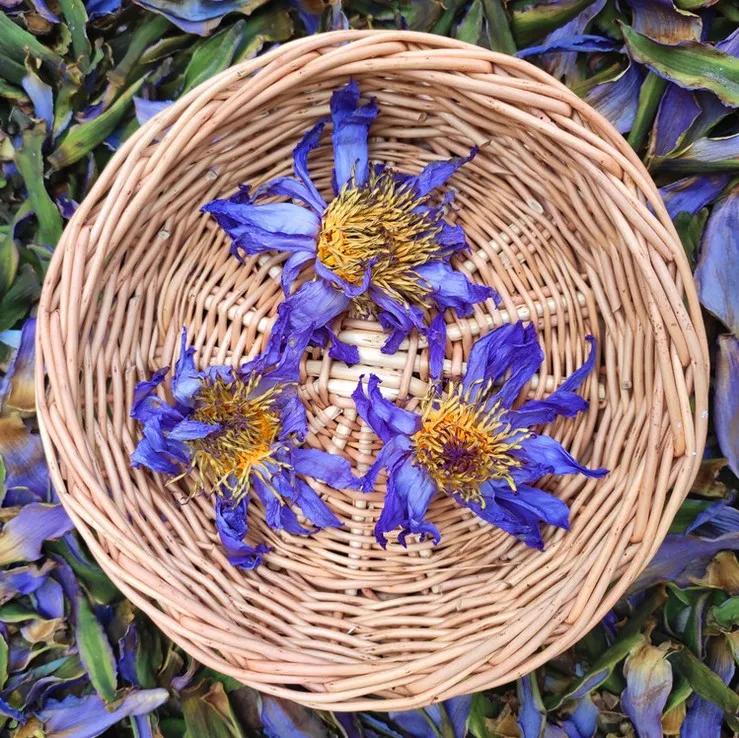 
Wholesale Dried Blue Lotus Flower Tea 
