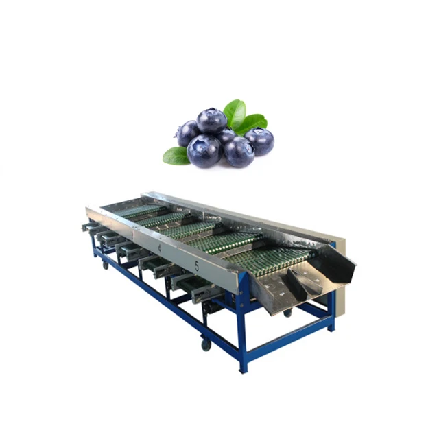 Vegetable and Fruit Peach Pear Apple Pitaya Longan Cherry Blueberry Olive Berry Cherry Tomatoes Kiwifruit Sorter