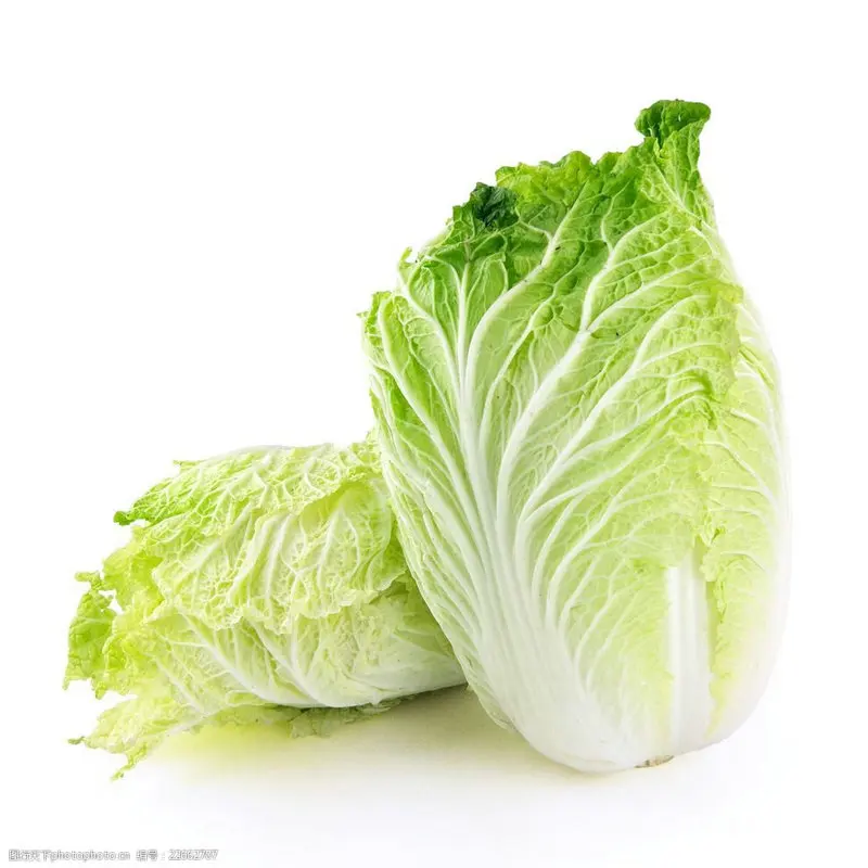 Fresh Cabbages China  Cabbage  packing  bag