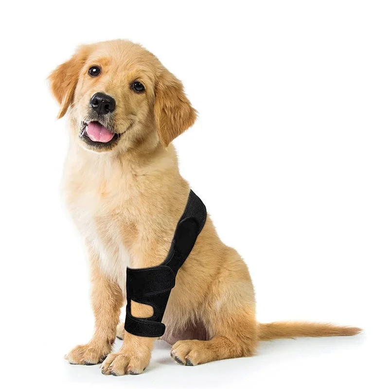 Hot Selling Neoprene Cat Knee Support Wrap Injury Protector Joint Dog Leg Knee Pad Sleeve Pet Knee Brace