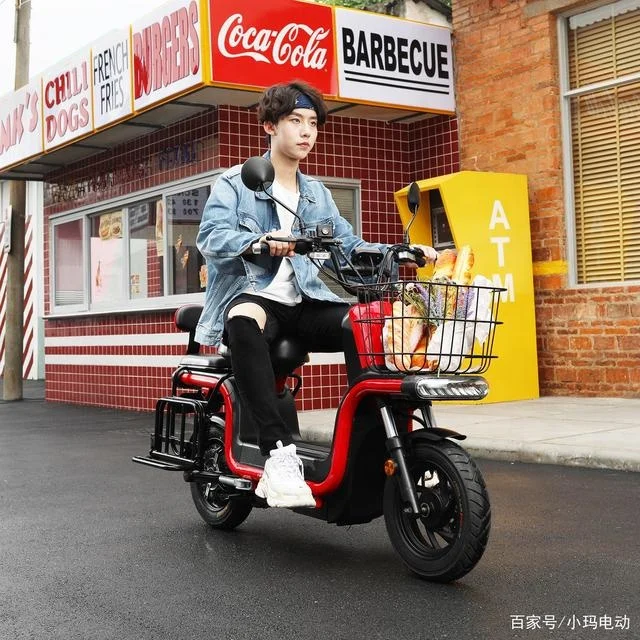 2021 New model popular in Vietnam two seats cheap 350W OEM ODM China electric city bike