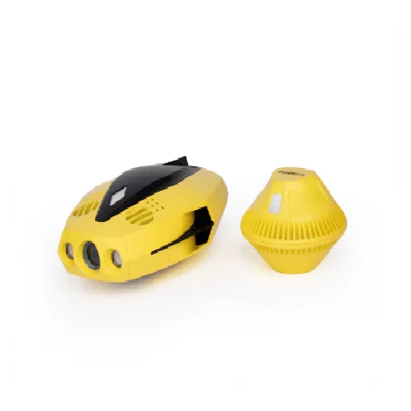 Underwater Drone CHASING DORY Underwater photos and videos for underwater exploration