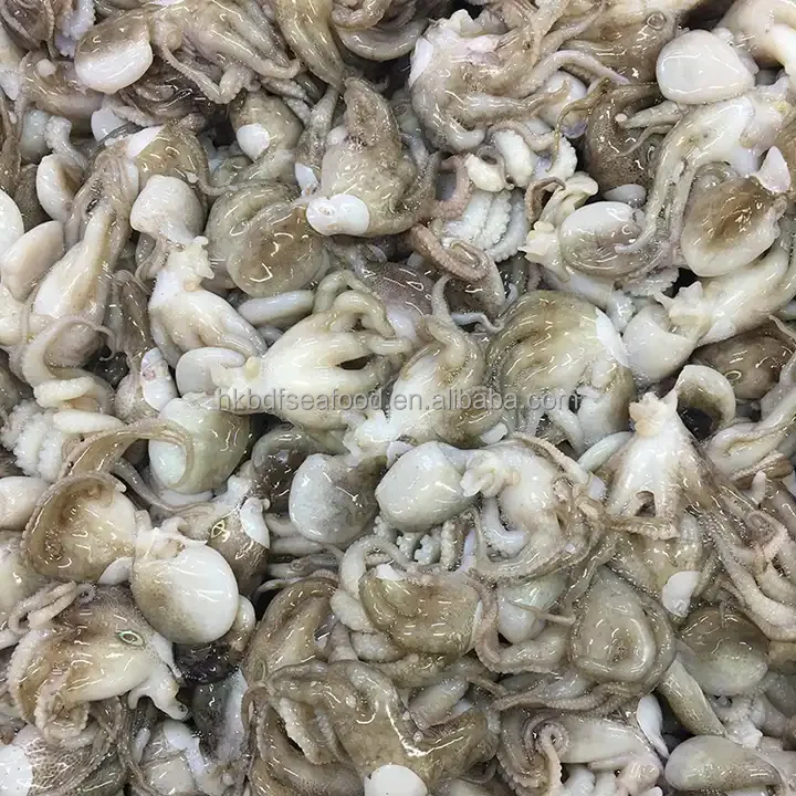 China Manufacturer Eye Off Frozen Baby Octopus Octopoda